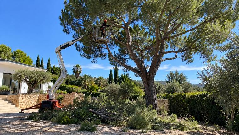 Poda de árvore com plataforma elevatória por equipa de jardinagem no Algarve